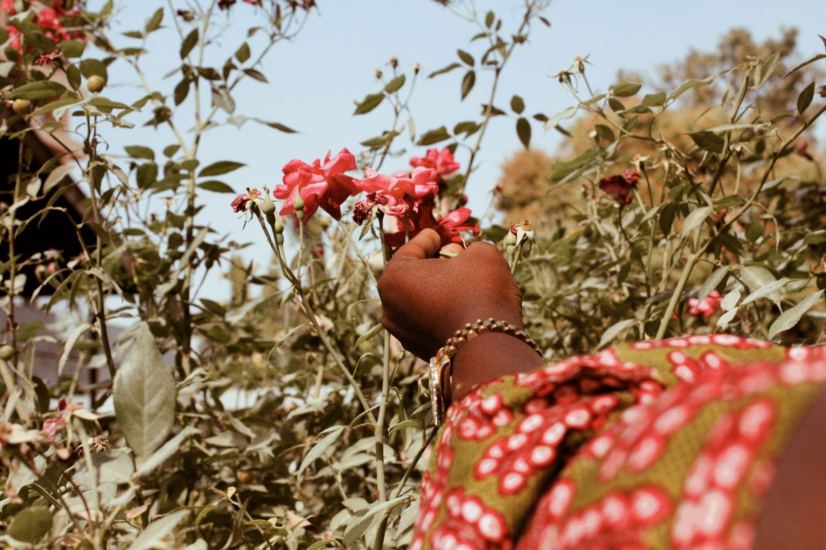 An African woman's hand gently reaching for a pink flower in sunlight